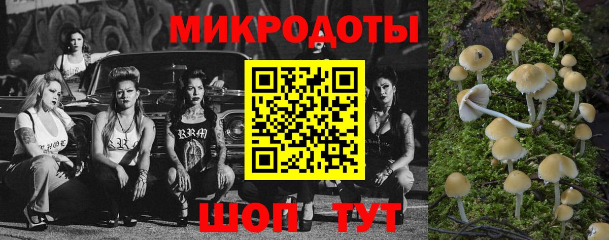 Котлас  Галлюциногенные грибы Psilocybine cubensis  Вход с VPN 