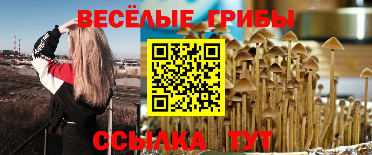 Псилоцибиновые грибы мухоморы Котлас
